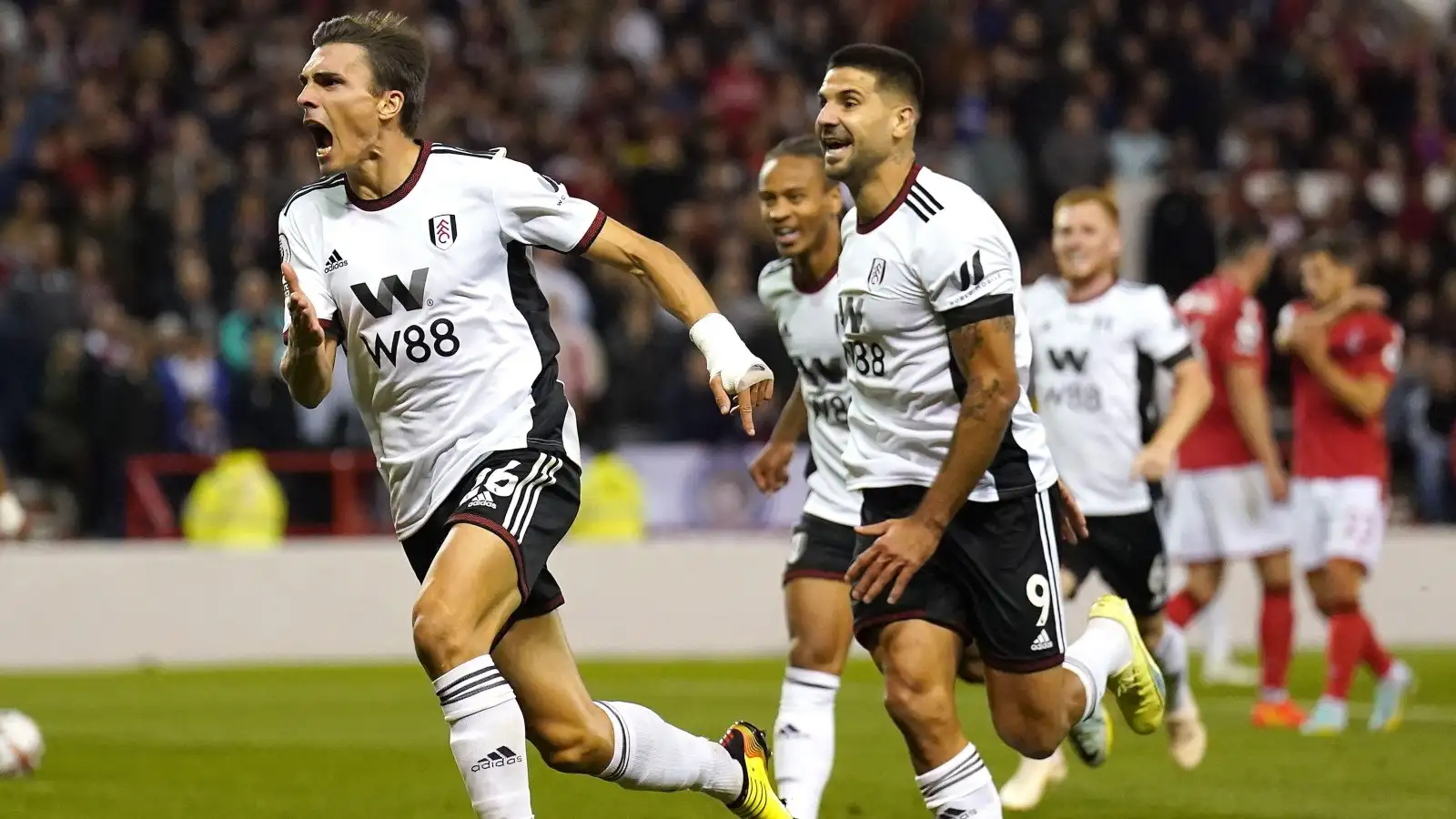 João Palhinha - Tường Thành Phòng Ngự Của Fulham